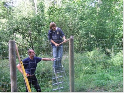 kristaps et Robert