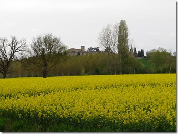 162_6240  tapis jaune pour Boulaur ( 4 - 2005)