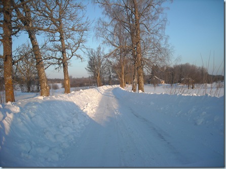 Picture 290