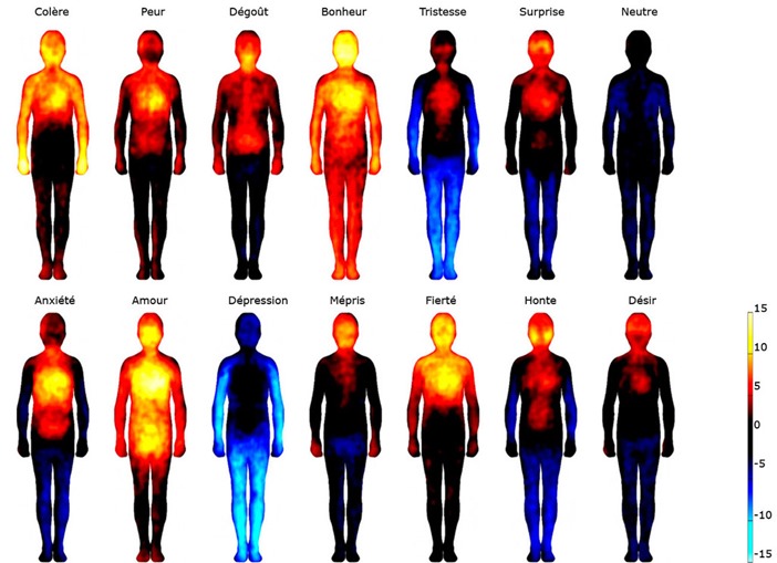 carte-emotions