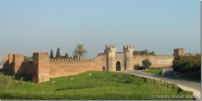 rabat-necropole-de-chellah_2697829-L